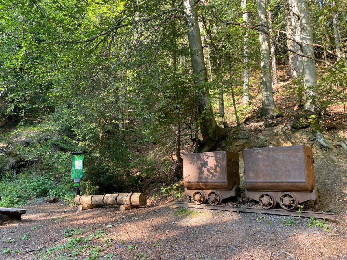 Vila 66 - Čistá v Krkonoších Černý Důl Exterior foto