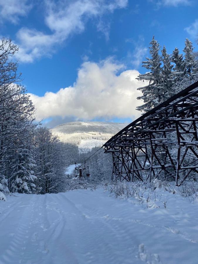 Vila 66 - Čistá v Krkonoších Černý Důl Exterior foto