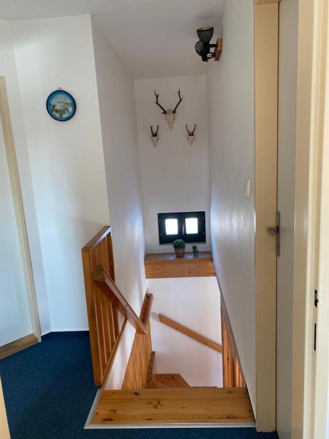 Vila 66 - Čistá v Krkonoších Černý Důl Exterior foto